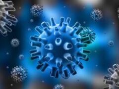 Врачи назвали симптомы, которые говорят об эффективности вакцины от коронавируса