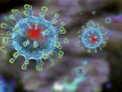 В Британии заявили о еще одной мутации коронавируса