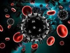 Генетики нашли «ключ» к эволюции вируса испанского гриппа