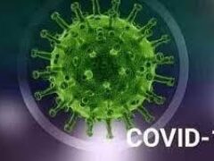 В Украине за сутки заболело 2 205 человек на COVID-19