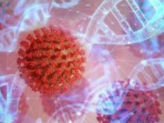 Ученым удалось установить, как ДНК влияет на уязвимость к коронавирусу