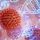 Ученым удалось установить, как ДНК влияет на уязвимость к коронавирусу