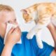 Как избежать аллергии на домашних питомцев, рассказали врачи