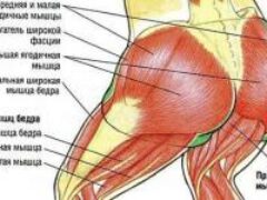 Как девушке быстро подкачать ягодицы в домашних условиях?