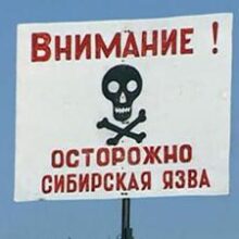 Чиновник рассказал, как избежать заражения опасной болезнью