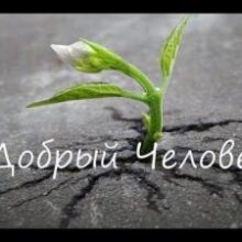 Психолог назвала самые добрые знаки зодиака