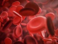 Ученые обнаружили простой способ остановить артериальное кровотечение