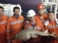 В Каспийском море выловили неизвестное существо