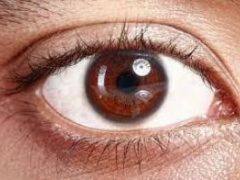Ученые назвали причину заболевания, которое приводит к полной слепоте