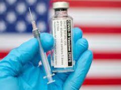 Вакцину от коронавируса на основе антител альпака создали в США