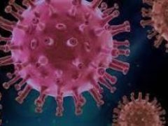 Коронавирус может сохраняться в организме месяцами