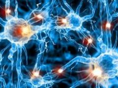 Как держать нервы в порядке: психолог развенчала мифы о нервных клетках