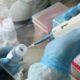 В Украине на коронавирус заболели более 24 тысяч человек