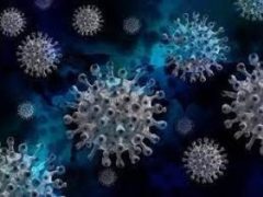 На Кипре обнаружили новый штамм коронавируса Дельтатрон