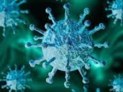 Ученые намеренно заразили десятки людей коронавирусом: что с ними произошло