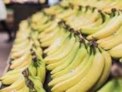 Швейцарские ученые получили водородную энергию из банановой кожуры