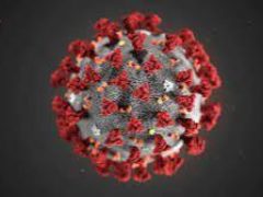 Кишечная форма коронавируса стала проявляться чаще